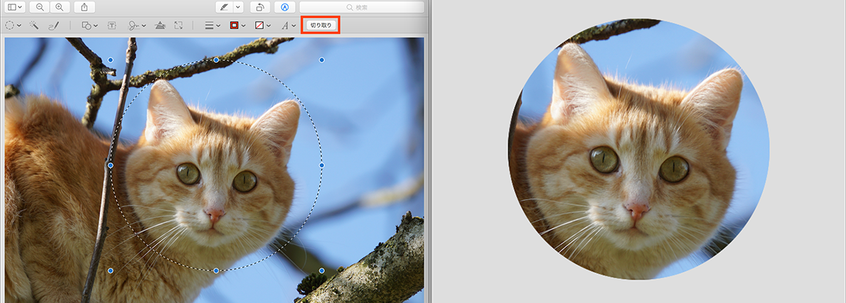 プレビュー ソフトで丸型のアイコン画像を作る Macfan