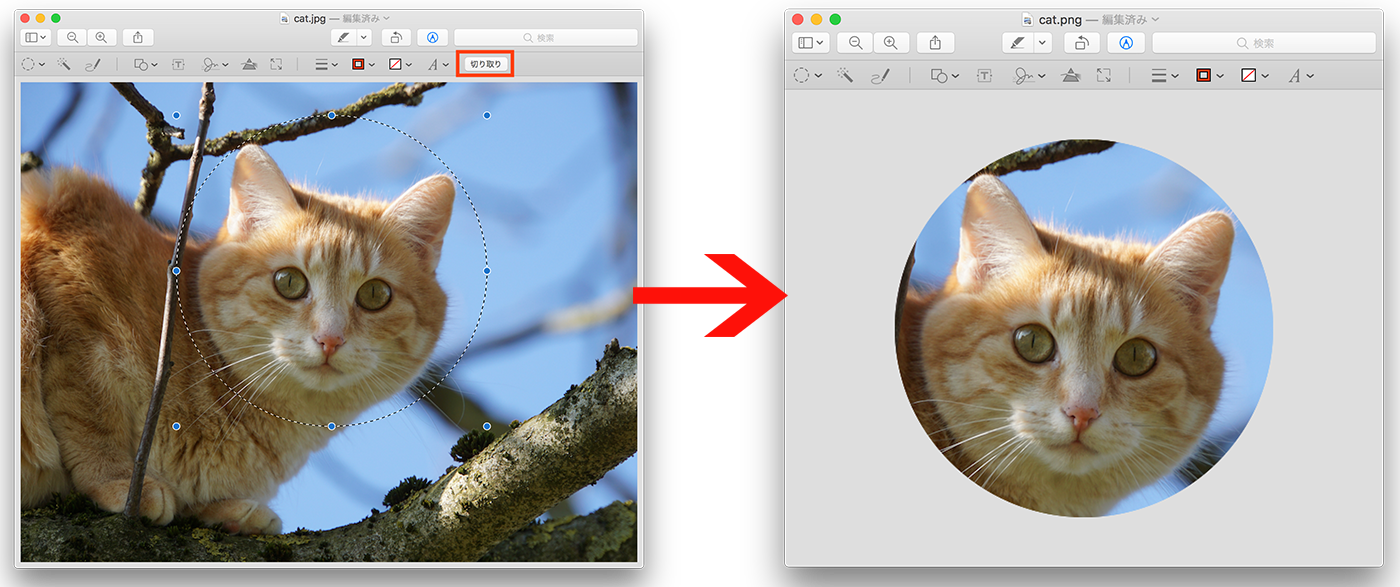 プレビュー ソフトで丸型のアイコン画像を作る Macfan