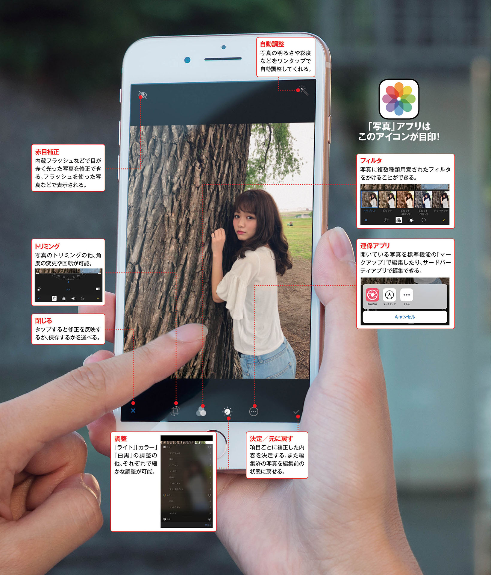 Iphone 写真 アプリの編集機能を理解しよう Macfan