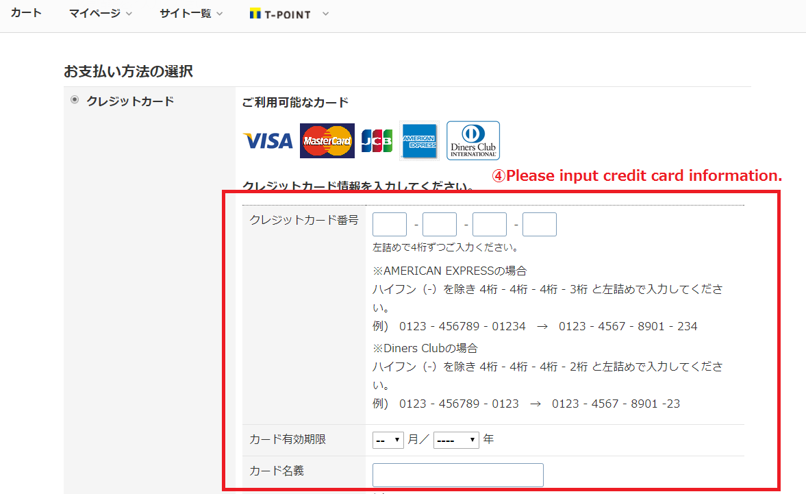 input your credit card info
